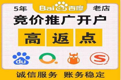 百度竞价赚钱的实战案例分析